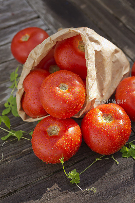 Tomatos outdoors